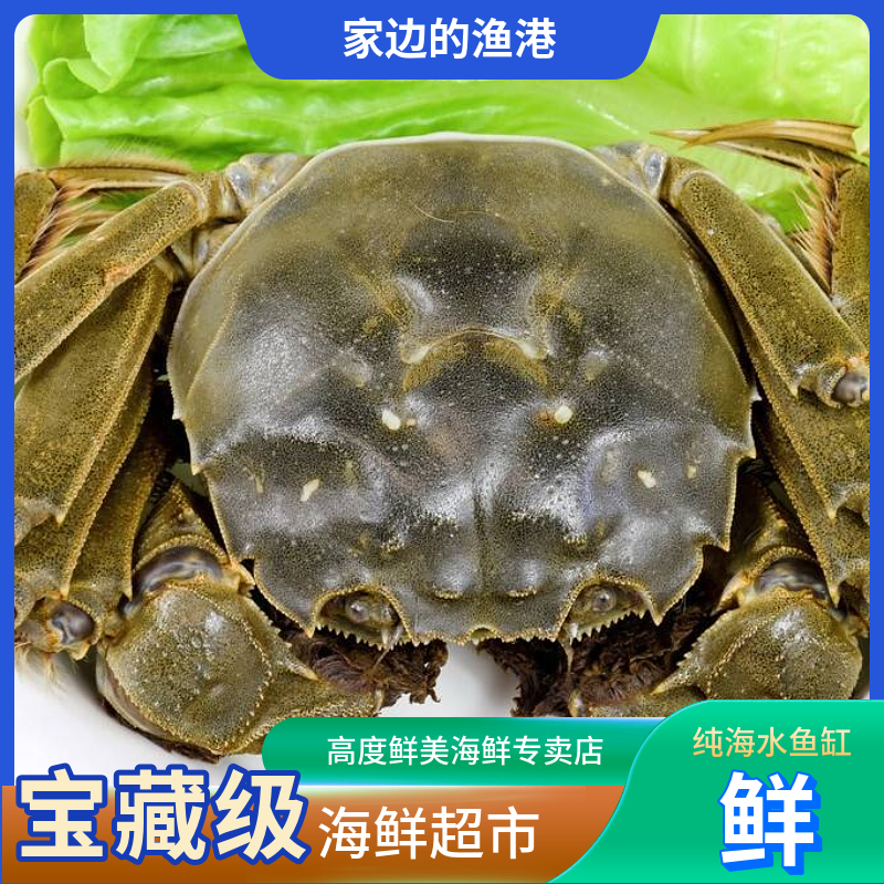 家边的渔港 大闸蟹实拍