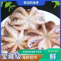 海兔子15只左右/斤肉嫩味鲜威海当地称为鱼增