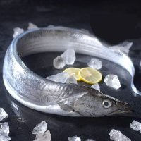 渤海小带鱼2~4两/条威海渔港鲜美国产带鱼