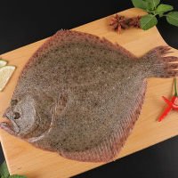 多宝鱼700~800g/条肉质细嫩外来引进品种深受欢迎