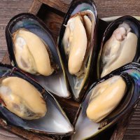 海虹春季海虹紫贻贝每年仅售3/4月份超便宜