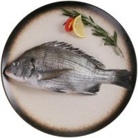黑鲷鱼0.6两左右/条加吉鱼的一种肉鲜甜味美