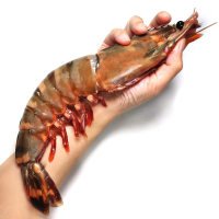 进口黑虎虾2kg/盒进口大个头黑虎虾8～10只一斤