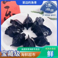 墨鱼3只左右/斤比鱿鱼好吃很多的墨鱼休渔期冷冻