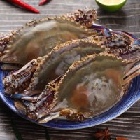 梭子蟹小蟹2~3两/只个头不大每只都满肉不分性别