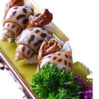 小海螺8只左右/斤中个头小海螺味甘甜肉紧实