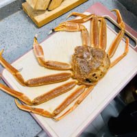 雪蟹1.5~1.8斤/只松叶蟹肉质鲜甜不输帝王蟹
