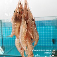 鹰爪虾40只左右/斤威海当地最受欢迎的野生虾
