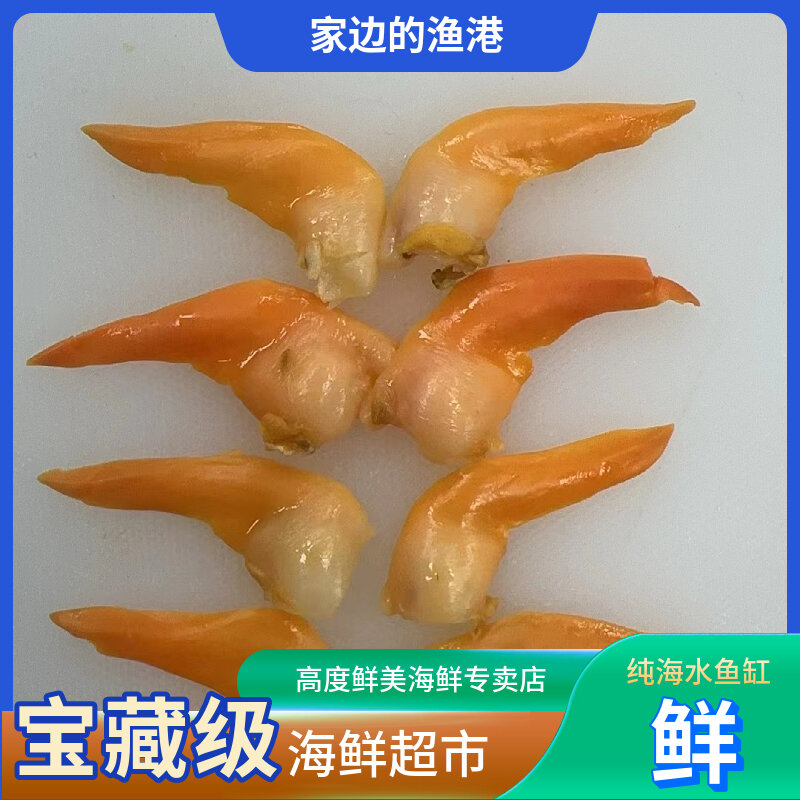 黄金贝（中华北极贝）约4只/斤味道鲜甜大个头贝类捞汁刺身都好吃